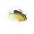 peixe c/jig dourado